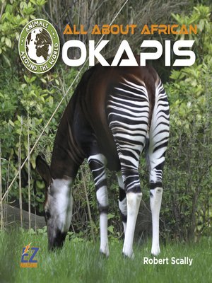 cover image of All About African Okapis